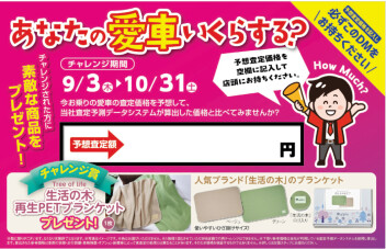 HOW　MUCH？ / かえるプラン特別金利実施中